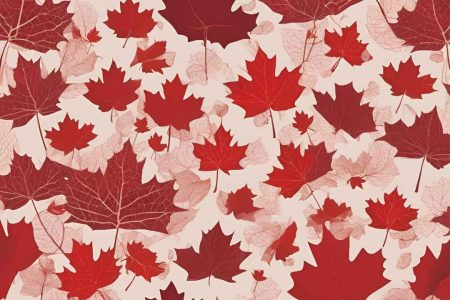 Your Pathway to Canada: Understanding the PR Process