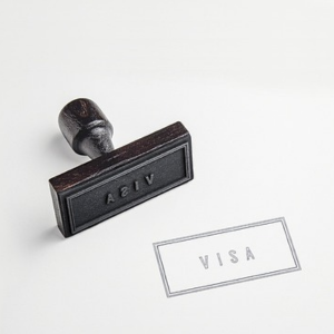 E-visa